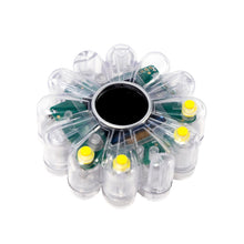 画像をギャラリービューアに読み込む, FLOWER GO WALK COLOR (Clear) Card Set
